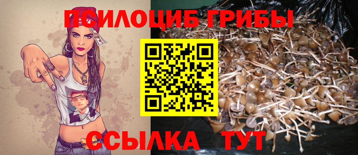 Галлюциногенные грибы прущие грибы  Вход с VPN  Мурманск 
